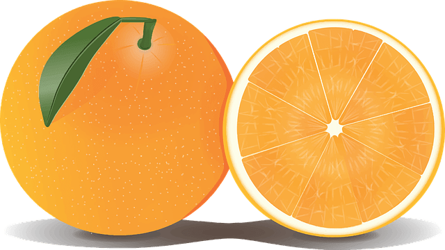 ilustrasi Contoh RPPH tema tanaman buah jeruk
